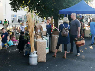 Miscanthus beim Krabat-Markt