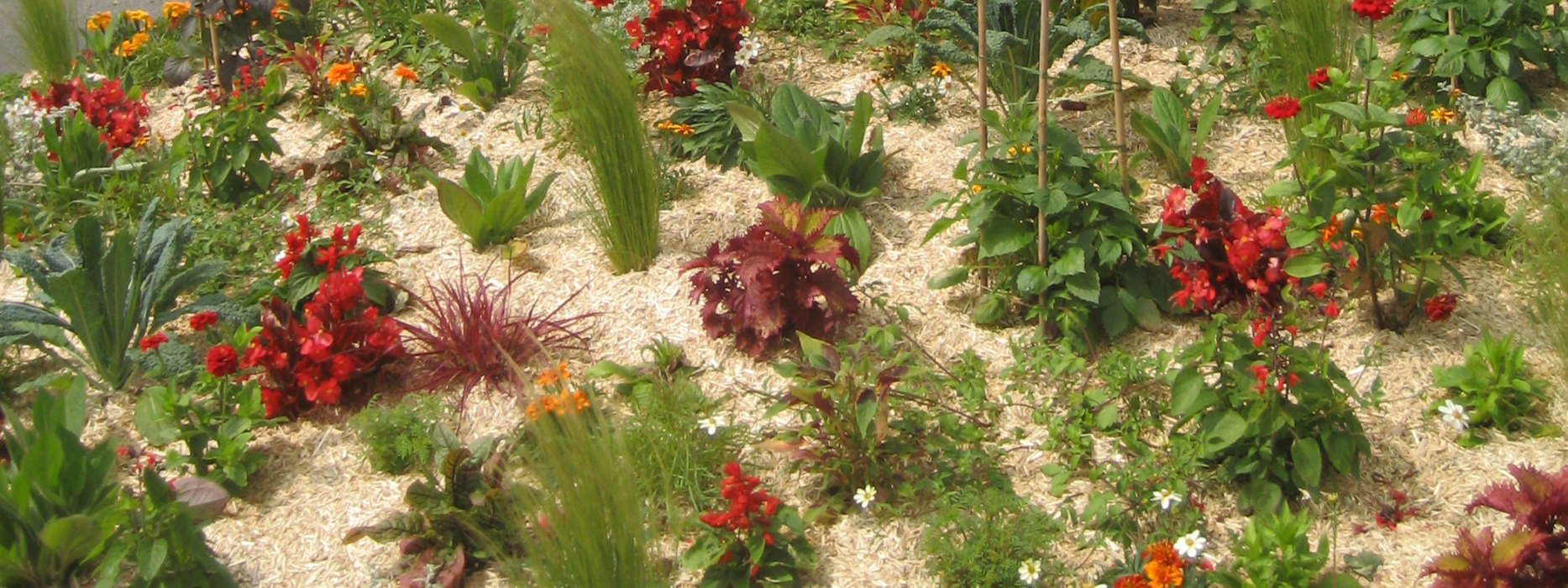 Mulchabdeckung und Bodensubstrate