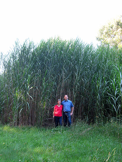 Carmen Retzela-Kühn und Uwe Kühn von Miscanthus Buscheritz