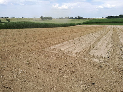 Planung von Fahrgassen